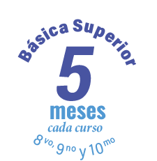 Básica superior intensivo